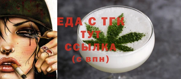 шишки Сатка