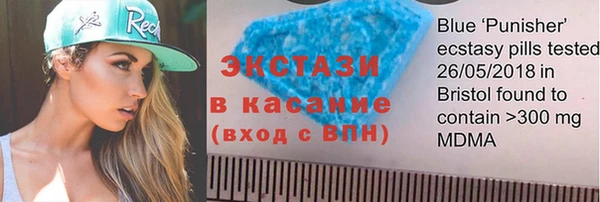 шишки Сатка
