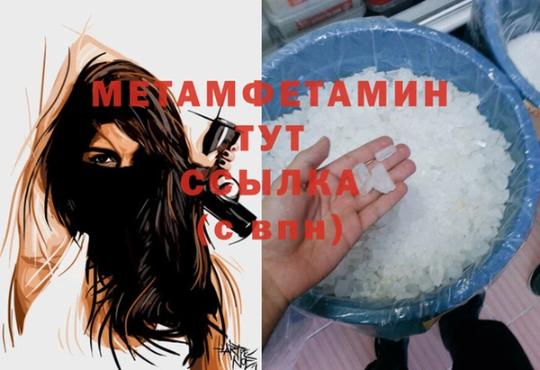 шишки Сатка