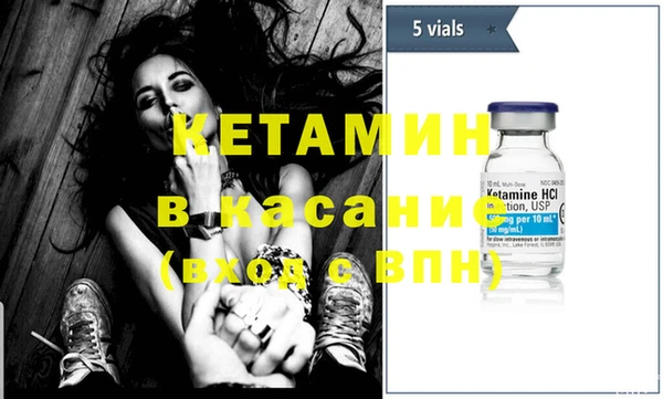 шишки Сатка