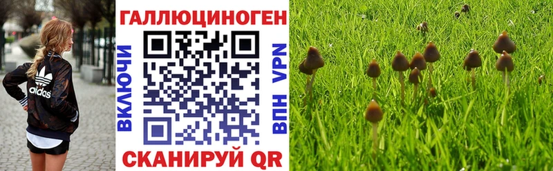 ссылка на мегу ONION  Фокино  Галлюциногенные грибы Psilocybine cubensis 